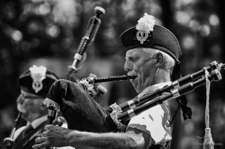 White Hackle Pipes and Drums